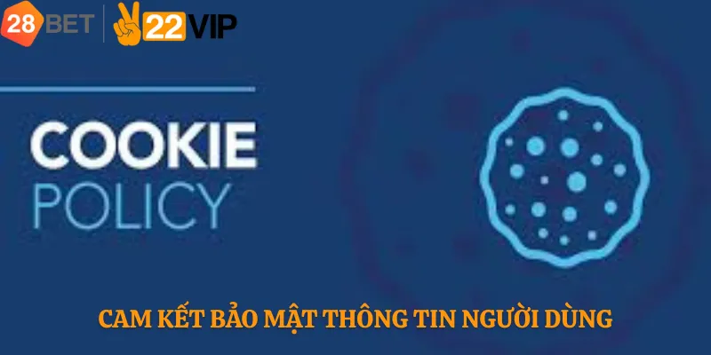 Cam Kết Bảo Mật Thông Tin Người Dùng