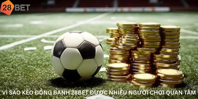 Vì Sao Kèo Đồng Banh 28Bet Được Nhiều Người Chơi Quan Tâm